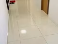 專業清潔