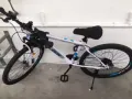 淡滨尼山地自行车🚲