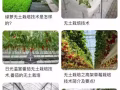 招聘無土栽培技術人員！！！！