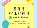 蔡厝港 1-1 上門補習（中英文教學）