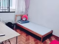 实龙岗 公寓普通房出租