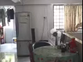 直落不藍雅有女床位出租！