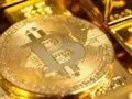 每月升值 1-2%， 第 36 个月比特币-gold.live 在纳斯达克 IP