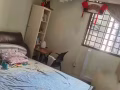 近波那维私达地铁站有大房出租，八月可入住
