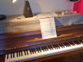 家中孩子自用钢琴🎹