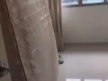 最后一天 床，冰箱，洗衣机 大甩卖