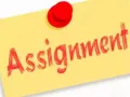 Assignment 代写