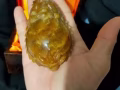 红,黄,白兔毛三色龙龟