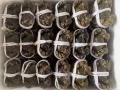 新加坡大闸蟹中代理