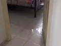 上下木床和雙人床
