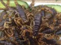 中国特色食品全岛免费送货