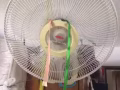 搬家風扇，和各種插排便宜賣