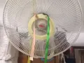 搬家风扇，和各种插排便宜卖