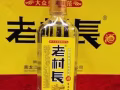 2022款《老村长/泸州老窖/牛栏山/红星/青岛/孔府/江小白》广告长期有效