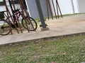 Harris自行车🚴‍♀️