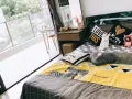 ～花拉公园高级公寓温馨阳台普通房出租～