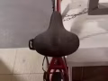 自己用的自行车
