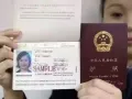 护照更新，翻译公正