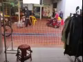 马西岭食品市场店铺出租