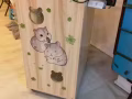 龙猫冷气笼子