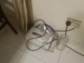 先驱杂货物自取