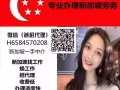 高薪聘请国内司机/新加坡司机/不限男女工作轻松，薪水待遇优厚H658457028