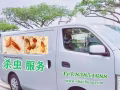 专业杀虫、十多年经验！臭虫、蟑螂、黑、白蚂蚁、跳蚤、蚊蝇、各种飞虫，全岛服务！