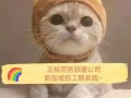 全新工种，急速招聘，人在中国新加坡皆可+v：hy183577147