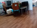 文庆出租男女床位