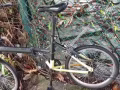 本人有个自行车🚲要买