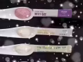 艾多美五宝 Atomy 5 Treasures