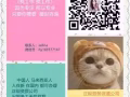 这里单子少，加我我帮你找！更多0收费加微信  加我hy183577147