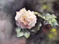 绘画家教老师  35/小时