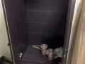 退房 多套上下铺 煤气灶 钢瓶 冰箱 洗衣机