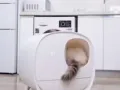 智能除臭猫砂盆全新