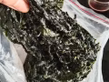 一千公斤的日本海带(做餐饮的朋友看过来)