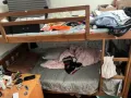 实木上下床 可以拆分成两张单人床 带床垫 只要90块 自取