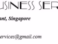 专业会计，税务，秘书服务 (Accounting services)