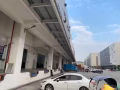 香水寄到新加坡物流专线海运
