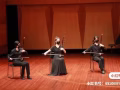 二胡 /教学 /一对一成人/少儿