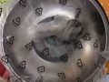 刚买的新锅有的🍀🍀🍀🍀请联系我！🍀🍀🍀🎊有的自己来拿地址在义顺