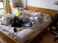 成品窗簾若干