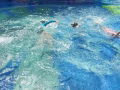 體育理事會認證專業游泳教練 (NROC+Swimsafer)