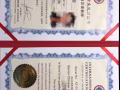 一对一华文补习 IPA高级华文教师 提供免费试课