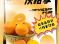 🍊 比橘肉更细腻，比橙子更清甜🍊
