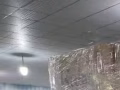 猫用品满50免费送货，还送精品小礼物