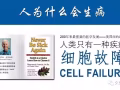 小分子活性肽