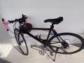 公路車便宜出售手慢無