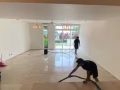 廉价家庭清洁