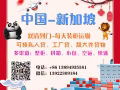 自行车海运到新加坡双清关送货上门，新西兰海运专线服务